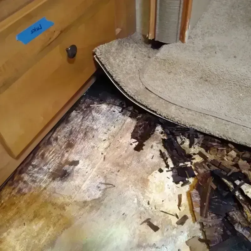 Wood Floor Water Damage in Hines, OR